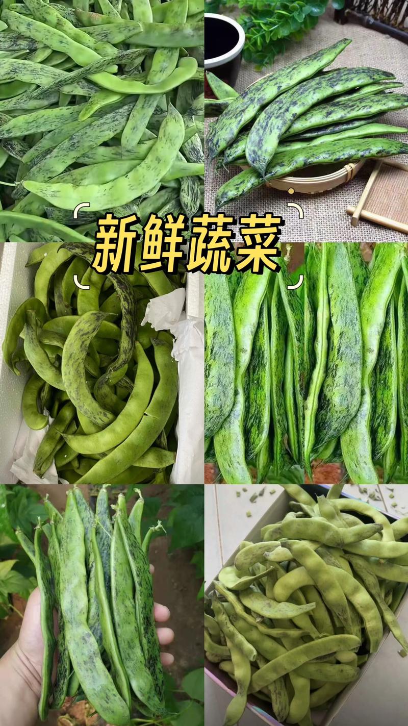 吉林农产品
